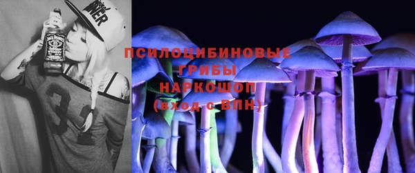 гашик Бугульма