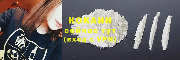 не бодяженный Бородино