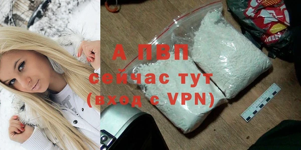 не бодяженный Бородино